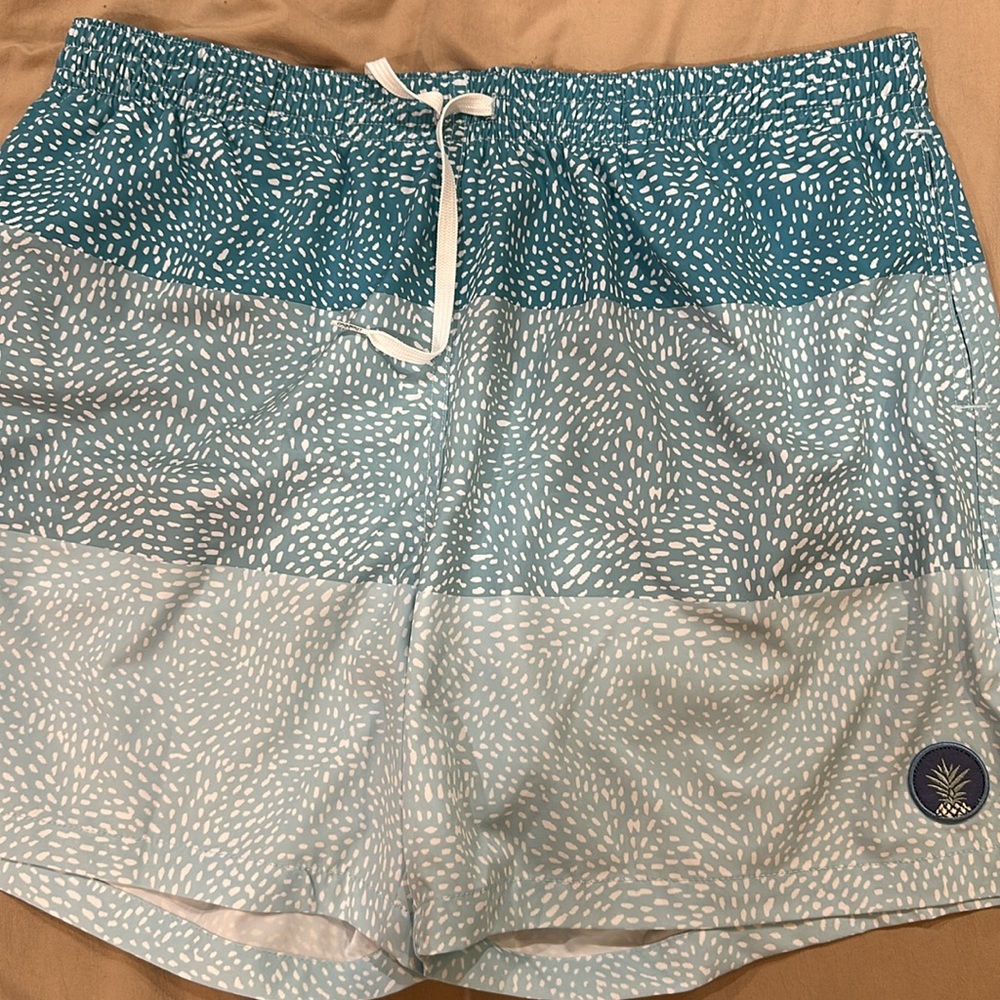 Chubbies Bathing Suit Men’s (swim trunks). XXL. 5.5” inseam. With liner.